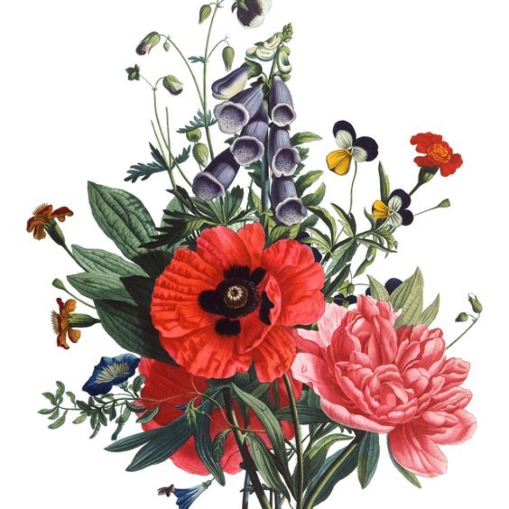 Meet your Posher, Randi